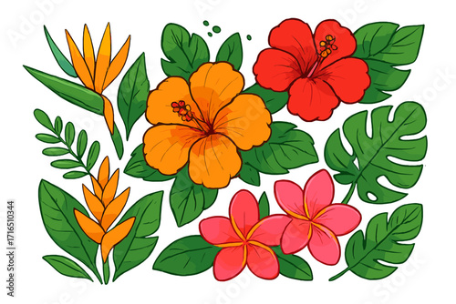 Set of tropical flowers and leaves. Vector cartoon illustration. Hibiscus, plumeria, monstera leaf. Hawaiian summer floral collection. Exotic botanical jungle elements.