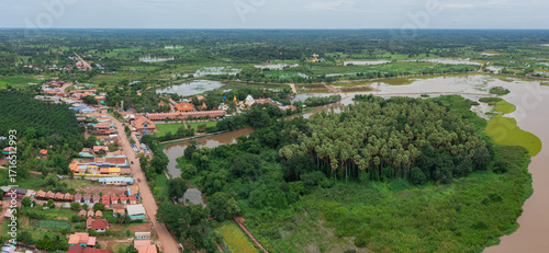 Aerial Chanod trees in the forest at Wat Kham Cha Nod in Ban Dung District,Udon Thani, Thailand.
