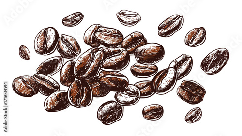 Roasted Coffee Beans Vector Illustration for Marketing Materials