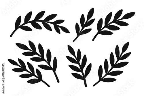 Set of black olive branch silhouettes. Vector collection of laurel leaves and branches. Botanical foliage illustration for logo, wedding, or decorative design. Peace symbol.