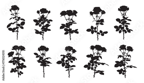 Collection of silhouetted rose bushes and flowers for decorative and design projects