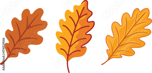 Autumnal Trio A Collection of Colorful Cartoon Oak Leaves