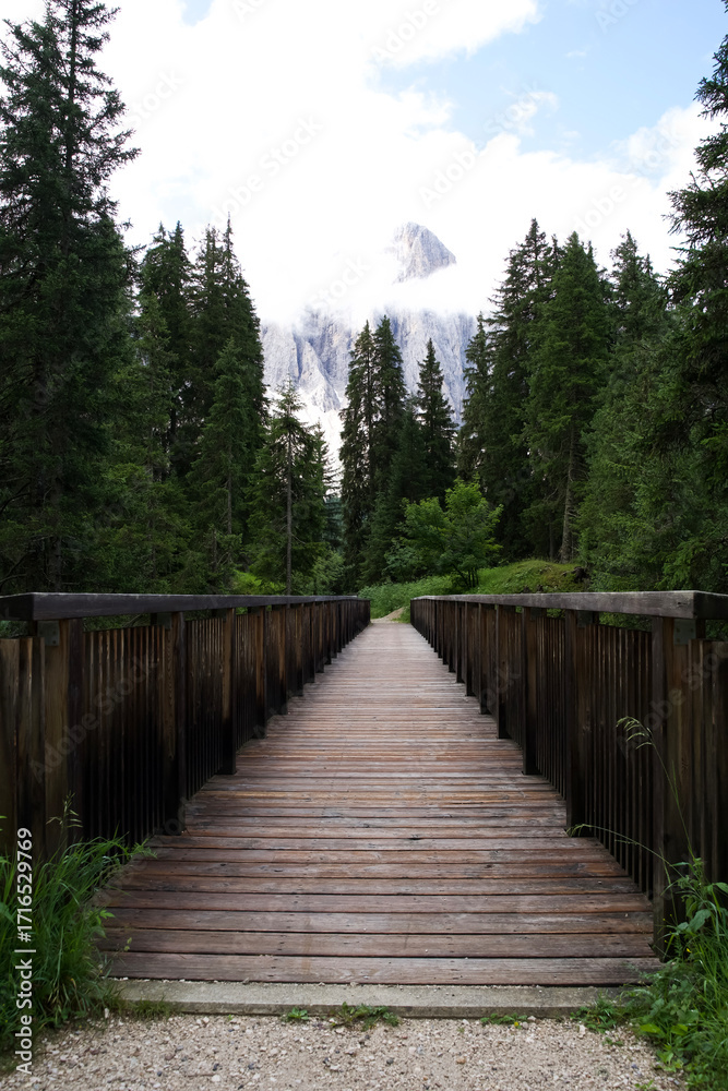 Obraz premium Wooden bridge leading through lush green forest towards majestic mountain peak under a cloudy sky with copy space