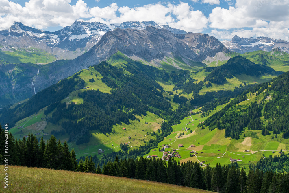 Obraz premium Scenic alpine landscape with green meadows, towering mountains, and clear blue summer skies in the heart of the Swiss Alps
