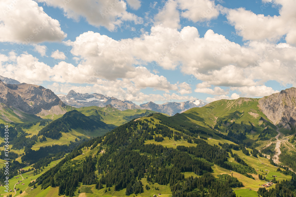 Naklejka premium Scenic alpine landscape with green meadows, towering mountains, and clear blue summer skies in the heart of the Swiss Alps