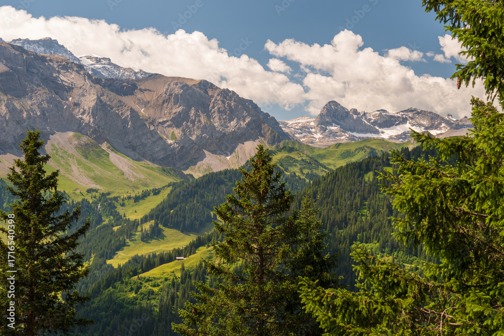 Fototapeta premium Scenic alpine landscape with green meadows, towering mountains, and clear blue summer skies in the heart of the Swiss Alps