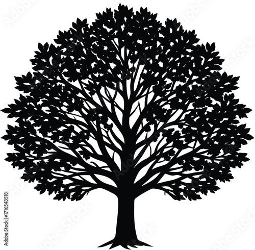 A vector silhouette of a single tree with detailed branches and leaves on a white background, perfect for any season