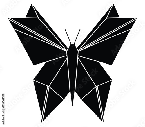 Geometric vector illustration of a black and white origami paper bird and a paper plane
