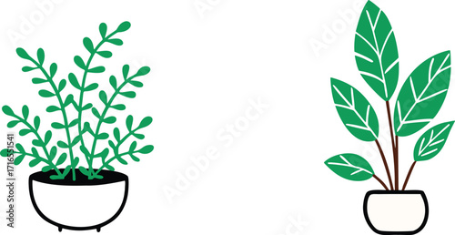 Collection of Two Potted Houseplants with Lush Green Leaves