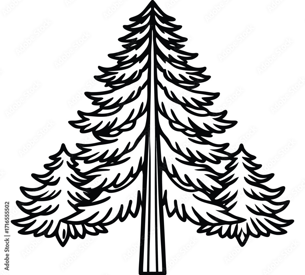 Obraz premium Set of Christmas fir trees illustration in winter forest