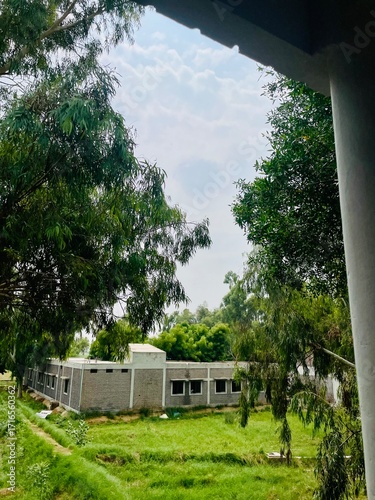Garden in the High School