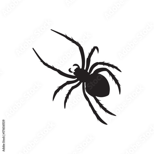 Spider icon animation simple best object on white Back ground
