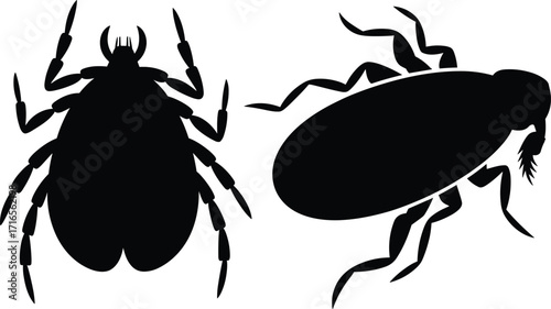 Insect silhouette, black bug icon, entomology graphic, pest control symbol, vector insect shape, isolated beetle, creepy crawly, nature biology, white background, illustration