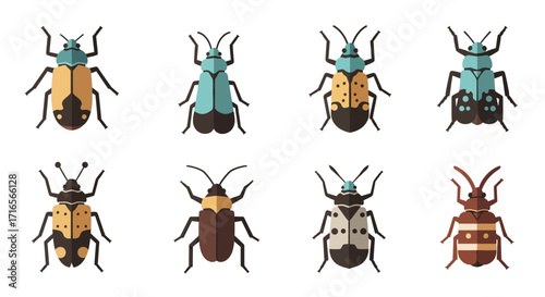 A vibrant collection of eight stylized beetle illustrations, each with unique colors and patterns.