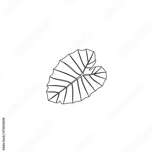 silhouette of taro leaf lines in black