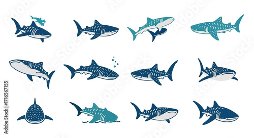 Collection of cartoon whale sharks with distinctive spotted patterns swimming in various dynamic poses.