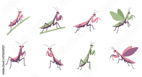 Collection of Stylized Praying Mantis Illustrations in Various Poses.