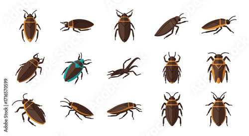 Diverse Collection of Illustrated Beetles and Insects in Various Poses.