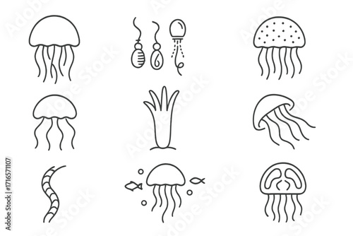 Jellyfish Line Icons. Line style icons of marine biology: jellyfish icon, sting cells, bioluminescent jelly, medusa stage, polyp