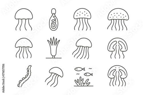 Jellyfish Line Icons. Line style icons of marine biology: jellyfish icon, sting cells, bioluminescent jelly, medusa stage, polyp
