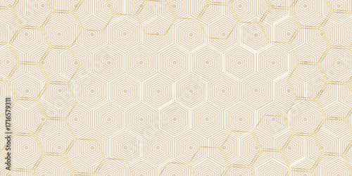 Honey bee comp Golden Seamless hexagon pattern with gold strip line vector
