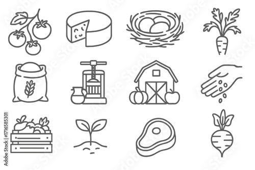 Ingredient Icons Art. Line style icons of ingredient origin: tomato vine, cheese wheel, egg nest, carrot plant; flour sack from