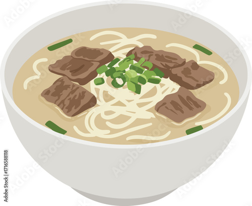 A bowl of beef noodle soup, garnished with green onions.
