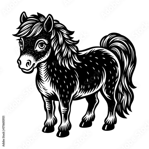 Miniature Horse