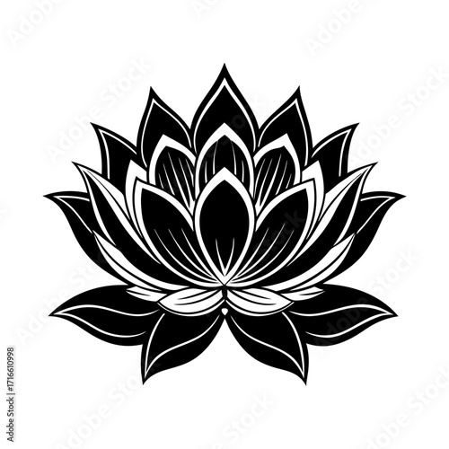 Lotus flower