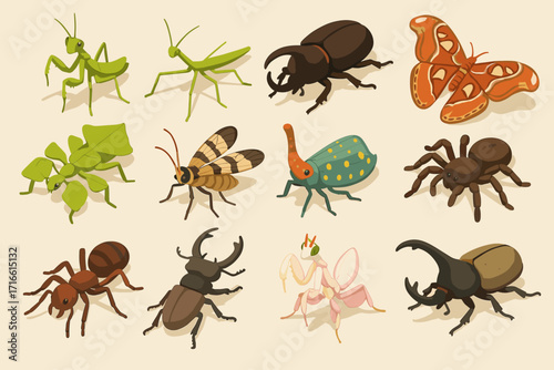 This image is a collection of cartoon-style 3D icons related to insects and arthropods. A scientific/educational set for design, icons, or illustrations on the theme of “entomology and insects.”