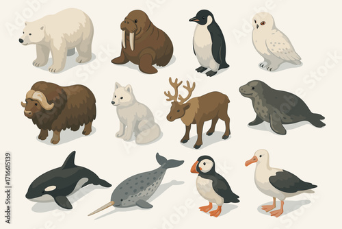illustrations of various Arctic and marine animals in cartoon style. All animals are depicted in natural colors against a light background.