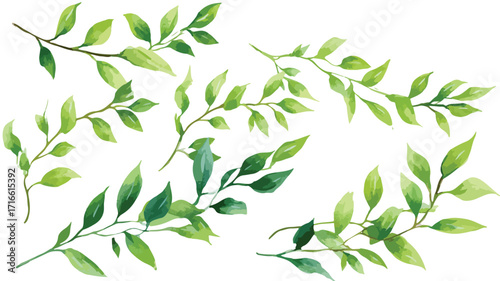 Vivid Hand Painted Greenery Willow Branches and Leaves EPS Image