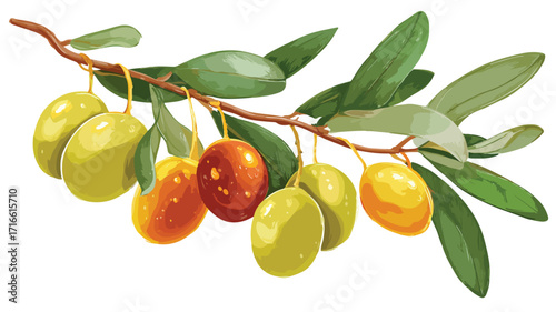 Harvesting Olives Cartoon Vector Illustration for Agriculture and Farming Themes