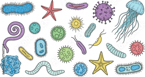 cartoon microbes and marine life, colorful vector set, educational biology illustration, bacteria, viruses, jellyfish, starfish, protozoa