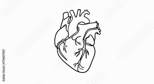 High-Quality EPS Vector Illustration: A Scalable, Royalty-Free Graphic Perfect for Professional Design Projects. This meticulously crafted EPS vector file offers exceptional detail and clarity, ens...