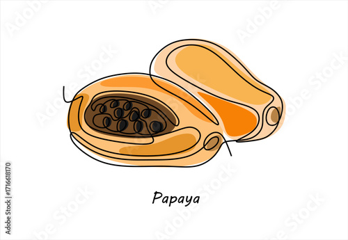 Papaya Fruit Illustration Single-Line Art.  line icon-continuous line drawing. Editable stroke.