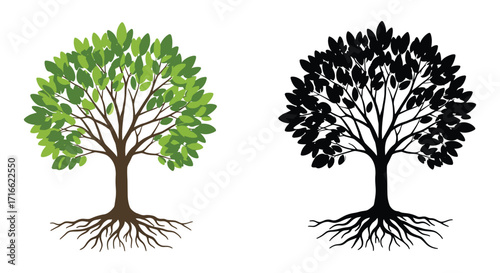 A vibrant green tree contrasts with its dark silhouette counterpart