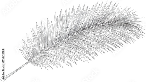 Exotic Tropical Leaves and Phoenix Vector Illustration for Designs