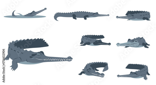 Set of stylized blue-gray gharial crocodile illustrations with long thin snouts, shown in various dynamic poses.