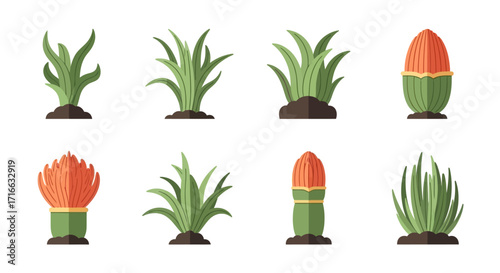 Set of stylized green plants and orange cacti with soil, flat vector design.