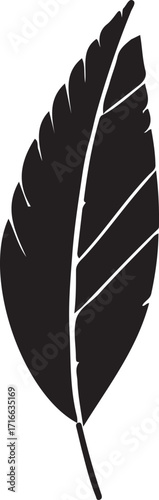 Black and white illustration of a leaf. The leaf is detailed with a center vein and parallel veins branching off.