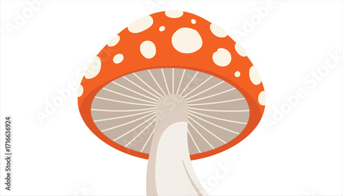 Vector art of a whimsical mushroom, featuring a vibrant orange cap adorned with white spots, supported by a sturdy white stem, evoking a sense of fairytale charm