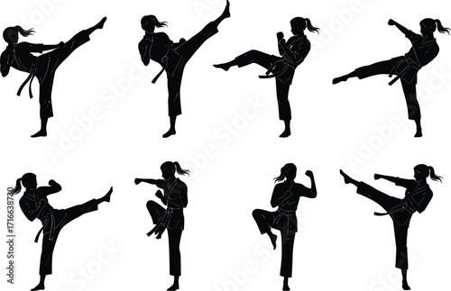 Martial arts silhouette, karate kick poses, taekwondo training, self defense illustration, fighter stance, combat sport vector, fitness activity, discipline practice, power motion