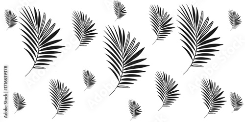 A seamless pattern of black and white leaves with tropical and palm fronds. cannabis, ornament, flower