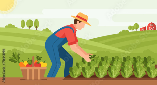 Farmer harvesting fresh vegetables in a field cartoon vector illustration of agricultural worker picking crops farm landscape background