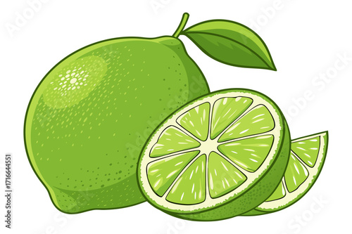 Lime Fruit Vector Illustration – Whole and Sliced Citrus with Leaves
