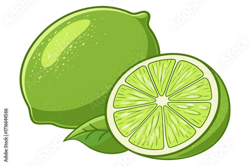 Lime Fruit Vector Illustration – Whole and Sliced Citrus with Leaves