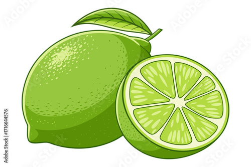 Lime Fruit Vector Illustration – Whole and Sliced Citrus with Leaves