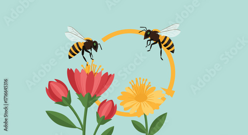 Two Bees Transferring Pollen Between Red and Yellow Flowers Cycle Illustration