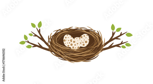 Spring Bird Nest With Three Speckled Eggs on Branches Isolated on White Background